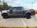  2012 Ford F150 Sterling Gray Metallic #9