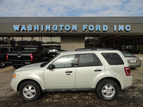 Light Sage Metallic Ford Escape XLT V6 4WD.  Click to enlarge.