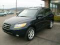 2009 Santa Fe SE #1