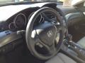  2010 Acura TL 3.7 SH-AWD Steering Wheel #18