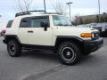  2010 Toyota FJ Cruiser Sandstorm #2