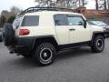 2010 FJ Cruiser Trail Teams Special Edition 4WD #3