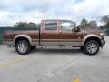  2012 Ford F250 Super Duty Golden Bronze Metallic #2