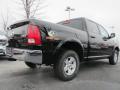 2012 Ram 1500 Mossy Oak Edition Crew Cab 4x4 #3 2012 Ram 1500 Mossy Oak Edition Crew Cab 4x4 #3