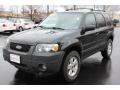2005 Escape XLT V6 4WD #1 2005 Escape XLT V6 4WD #1