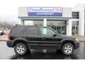 2005 Escape XLT V6 4WD #4 2005 Escape XLT V6 4WD #4