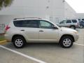 2008 Toyota RAV4 Savannah Metallic #8
