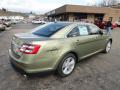  2013 Ford Taurus Ginger Ale Metallic #2