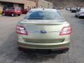  2013 Ford Taurus Ginger Ale Metallic #3