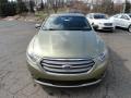  2013 Ford Taurus Ginger Ale Metallic #6