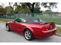2005 Mustang GT Premium Convertible #6 2005 Mustang GT Premium Convertible #6