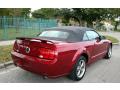 2005 Mustang GT Premium Convertible #8 2005 Mustang GT Premium Convertible #8
