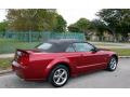 2005 Mustang GT Premium Convertible #9 2005 Mustang GT Premium Convertible #9