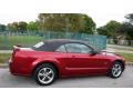 2005 Mustang GT Premium Convertible #11 2005 Mustang GT Premium Convertible #11