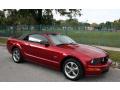 2005 Mustang GT Premium Convertible #15 2005 Mustang GT Premium Convertible #15