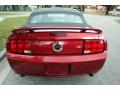 2005 Mustang GT Premium Convertible #20 2005 Mustang GT Premium Convertible #20