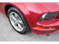 2005 Mustang GT Premium Convertible #29 2005 Mustang GT Premium Convertible #29