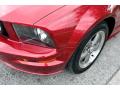 2005 Mustang GT Premium Convertible #30 2005 Mustang GT Premium Convertible #30