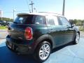 2011 Cooper S Countryman #5 2011 Cooper S Countryman #5