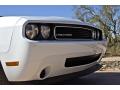 2010 Challenger SE #6 2010 Challenger SE #6
