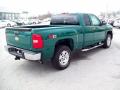  2012 Chevrolet Silverado 1500 Fleet Green #11