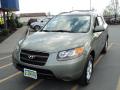 2007 Santa Fe GLS #1