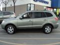  2007 Hyundai Santa Fe Natural Khaki Green #6