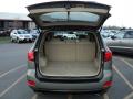  2007 Hyundai Santa Fe Trunk #9