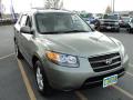 2007 Santa Fe GLS #11