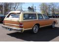 1980 LeSabre Estate Wagon #5