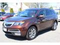 Front 3/4 View of 2011 Acura MDX Advance #7