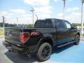  2012 Ford F150 Tuxedo Black Metallic #3