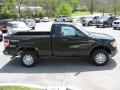  2012 Ford F150 Tuxedo Black Metallic #5