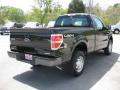 2012 F150 XL Regular Cab 4x4 #6
