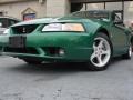 1999 Mustang SVT Cobra Convertible #2