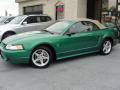  1999 Ford Mustang Electric Green Metallic #4