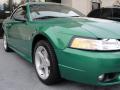 1999 Mustang SVT Cobra Convertible #8