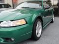 1999 Mustang SVT Cobra Convertible #9