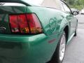 1999 Mustang SVT Cobra Convertible #14