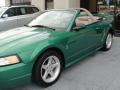 1999 Mustang SVT Cobra Convertible #17