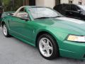 1999 Mustang SVT Cobra Convertible #18