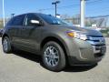 2013 Edge SEL AWD #4