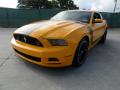 2013 Mustang Boss 302 #7