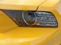 2013 Mustang Boss 302 #10