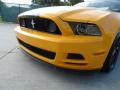 2013 Mustang Boss 302 #11