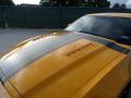 2013 Mustang Boss 302 #12