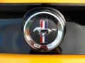  2013 Ford Mustang Logo #18