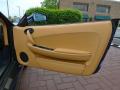 Door Panel of 2009 Ferrari F430 Spider F1 #30