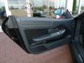 Door Panel of 2009 Ferrari 599 GTB Fiorano HGTE #13