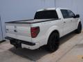 2011 F150 Limited SuperCrew #3